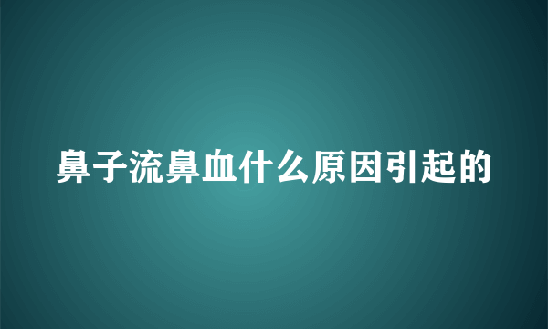 鼻子流鼻血什么原因引起的