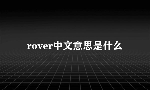 rover中文意思是什么