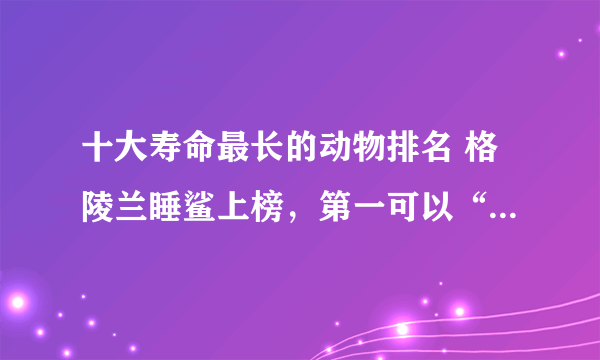 十大寿命最长的动物排名 格陵兰睡鲨上榜，第一可以“长生不老”