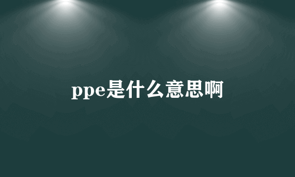 ppe是什么意思啊