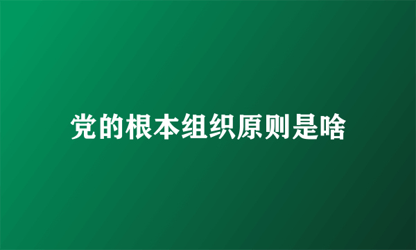 党的根本组织原则是啥