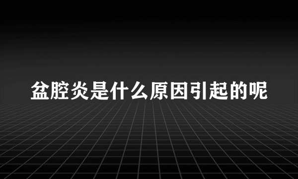 盆腔炎是什么原因引起的呢