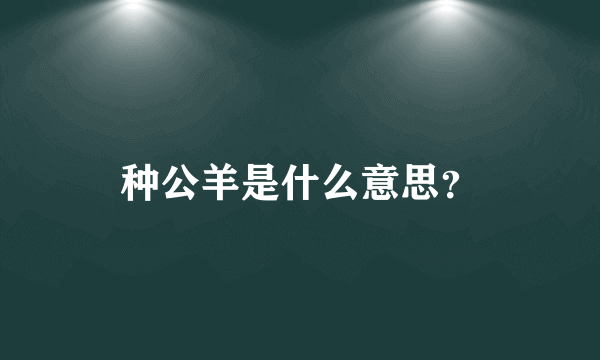 种公羊是什么意思？