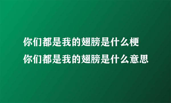 你们都是我的翅膀是什么梗 你们都是我的翅膀是什么意思