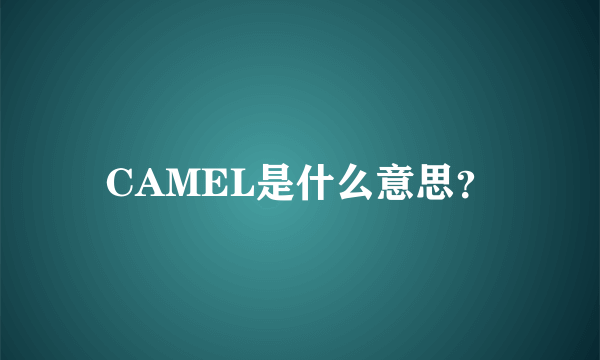 CAMEL是什么意思？