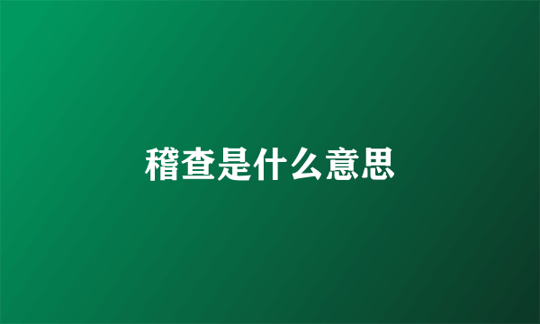 稽查是什么意思