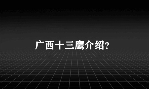 广西十三鹰介绍？