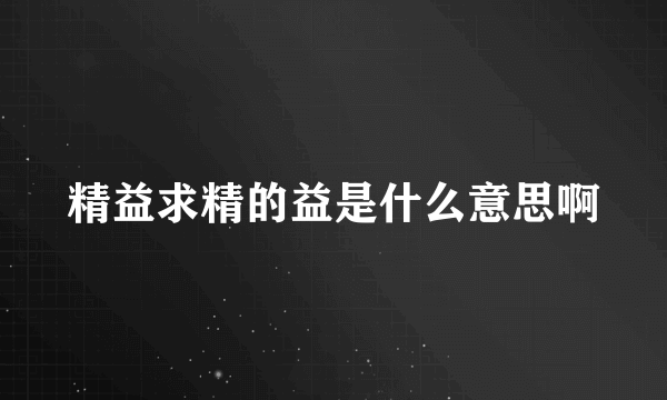 精益求精的益是什么意思啊