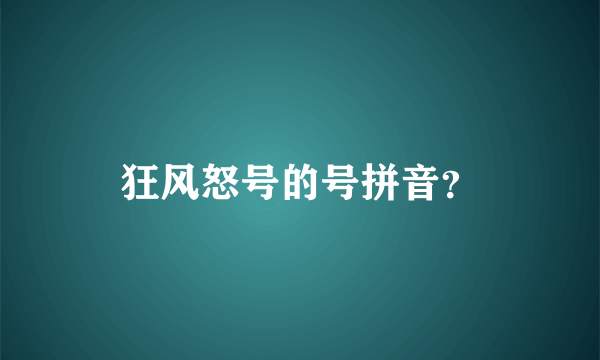 狂风怒号的号拼音？