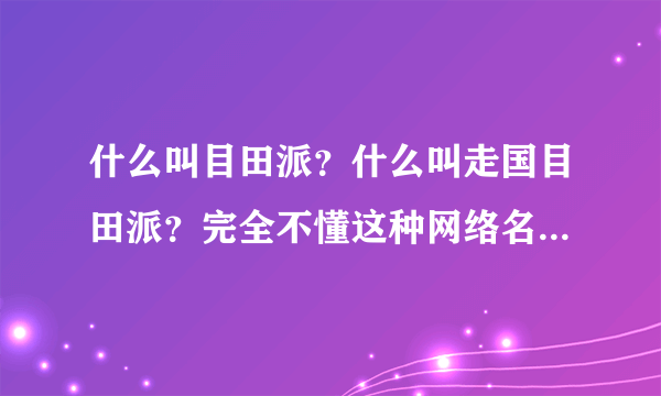 什么叫目田派？什么叫走国目田派？完全不懂这种网络名词，请务必好好回答，不要来个调侃式的答案谢谢？