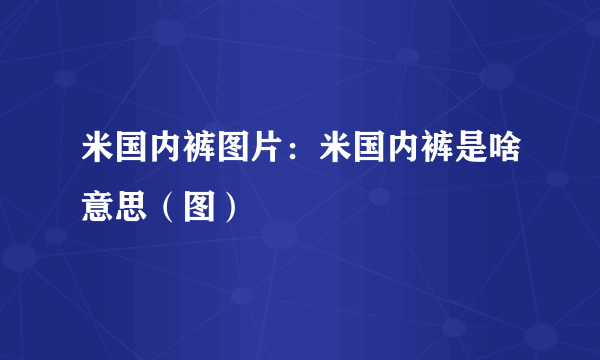 米国内裤图片：米国内裤是啥意思（图）