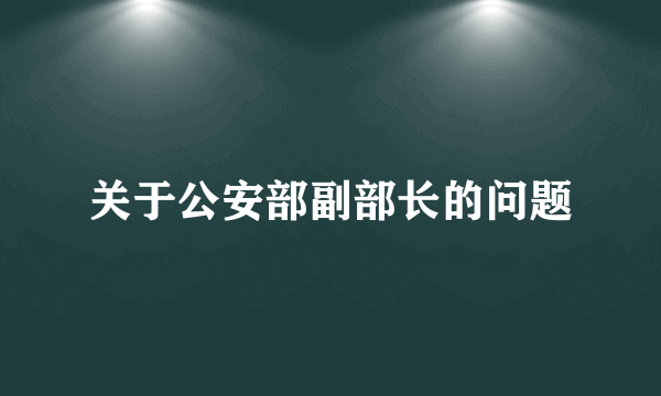 关于公安部副部长的问题