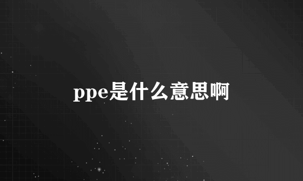 ppe是什么意思啊