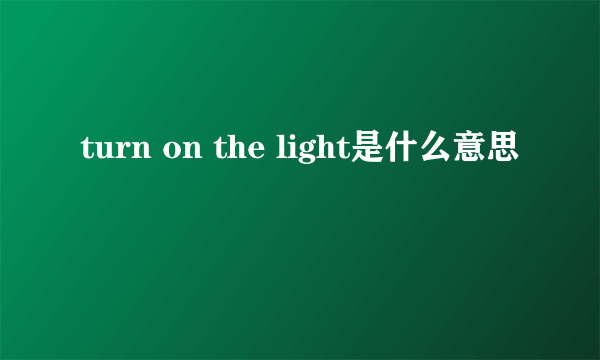 turn on the light是什么意思