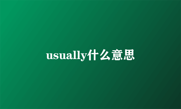 usually什么意思