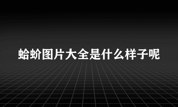 蛤蚧图片大全是什么样子呢