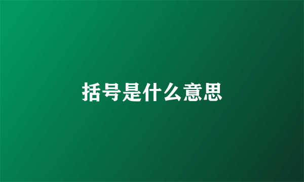 括号是什么意思