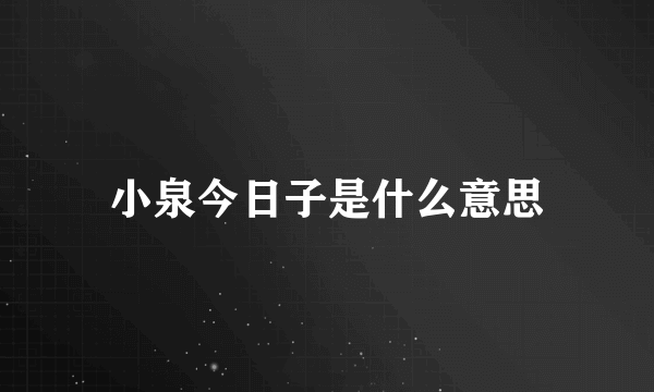 小泉今日子是什么意思