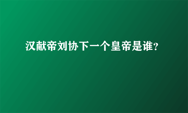 汉献帝刘协下一个皇帝是谁？