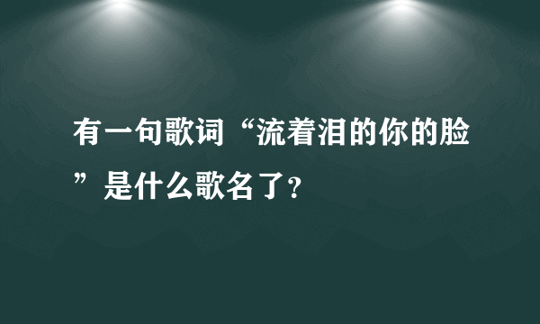 有一句歌词“流着泪的你的脸”是什么歌名了？