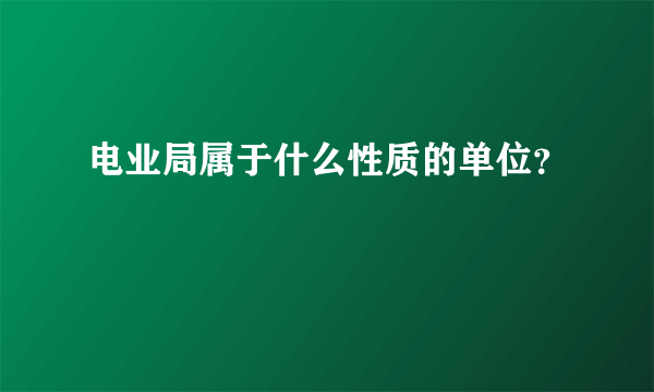 电业局属于什么性质的单位？