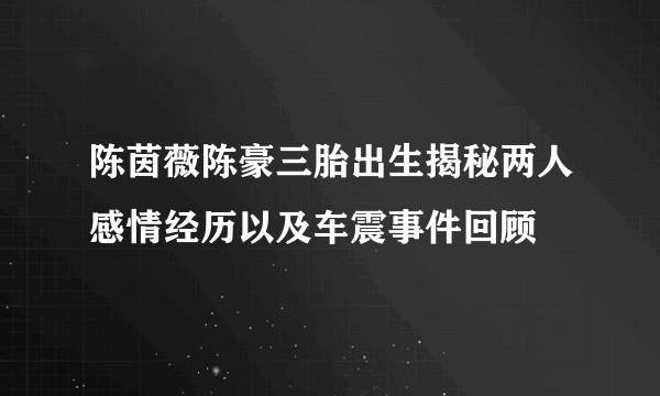 陈茵薇陈豪三胎出生揭秘两人感情经历以及车震事件回顾