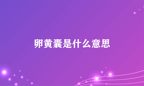 卵黄囊是什么意思