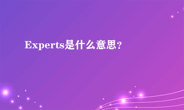 Experts是什么意思？