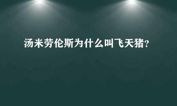 汤米劳伦斯为什么叫飞天猪？