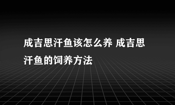 成吉思汗鱼该怎么养 成吉思汗鱼的饲养方法