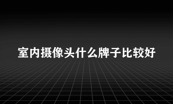 室内摄像头什么牌子比较好