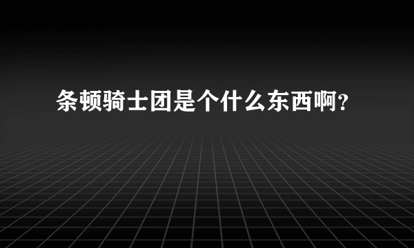 条顿骑士团是个什么东西啊？