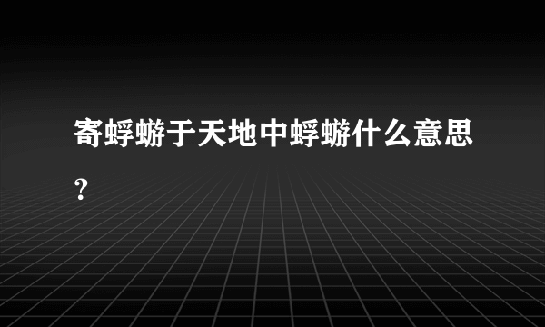 寄蜉蝣于天地中蜉蝣什么意思？