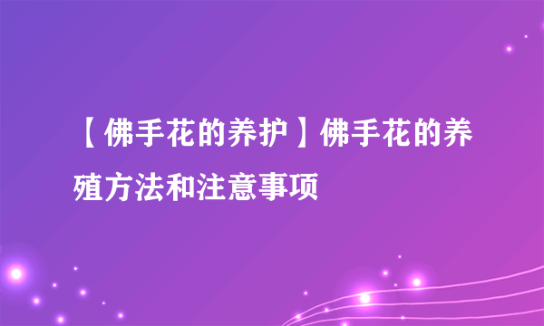 【佛手花的养护】佛手花的养殖方法和注意事项