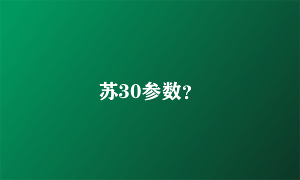 苏30参数？