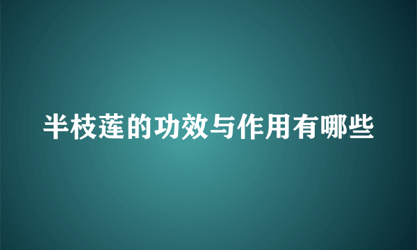 半枝莲的功效与作用有哪些