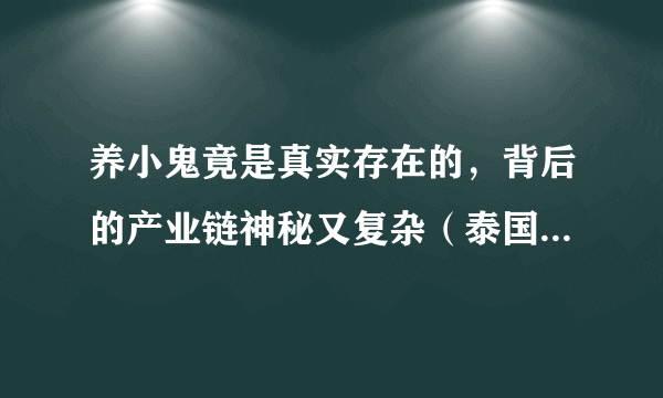 养小鬼竟是真实存在的，背后的产业链神秘又复杂（泰国供养小鬼）