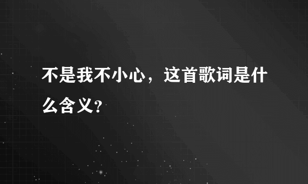 不是我不小心，这首歌词是什么含义？