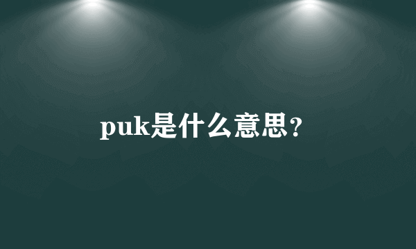 puk是什么意思？