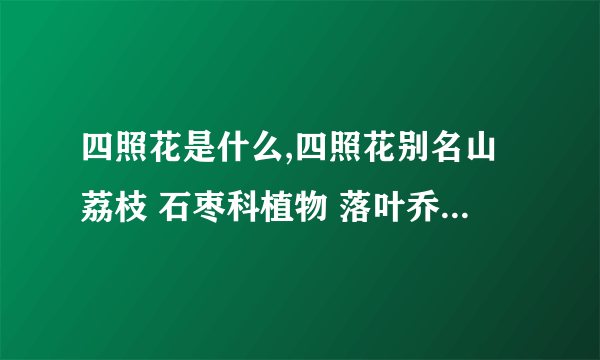 四照花是什么,四照花别名山荔枝 石枣科植物 落叶乔木 原产于东亚