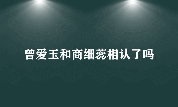 曾爱玉和商细蕊相认了吗