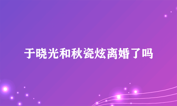 于晓光和秋瓷炫离婚了吗