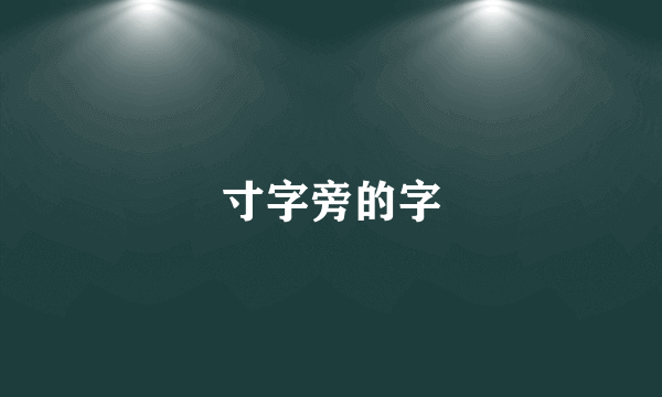 寸字旁的字