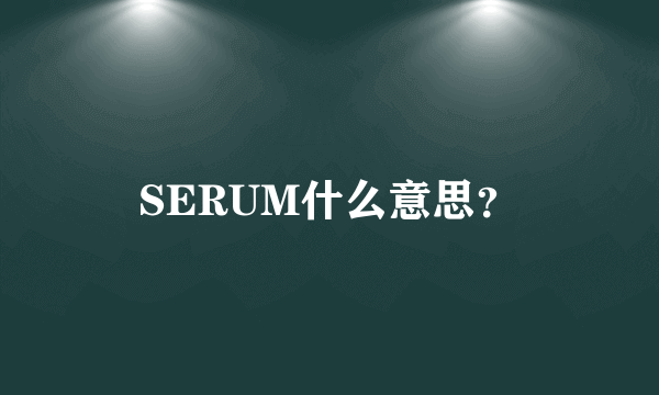 SERUM什么意思？