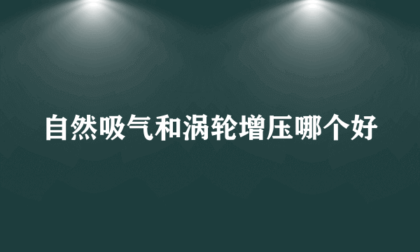 自然吸气和涡轮增压哪个好