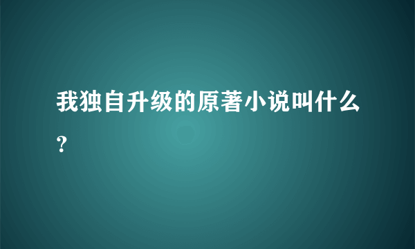 我独自升级的原著小说叫什么？