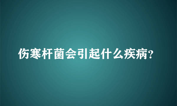 伤寒杆菌会引起什么疾病？