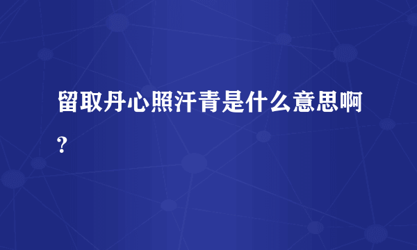 留取丹心照汗青是什么意思啊？