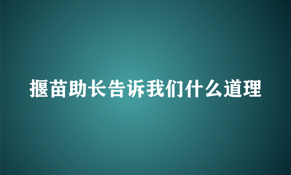 揠苗助长告诉我们什么道理