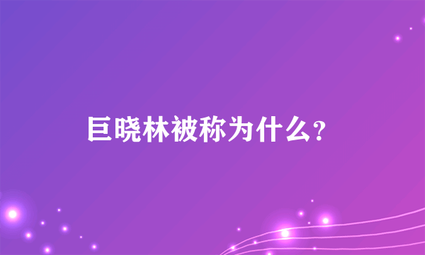 巨晓林被称为什么？